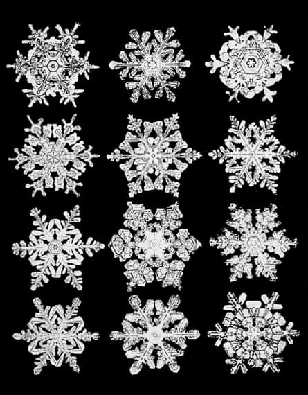 Wilson Bentley's snowflake photos circa 1902