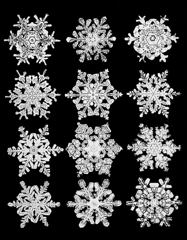 'Every crystal was a masterpiece of design and no design was ever repeated'. A photograph of one of Wilson Bentley's snowflakes. Source: The Guardian.