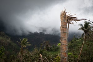 Blasted landscapes extend the over hundreds of square kilometres of the island.