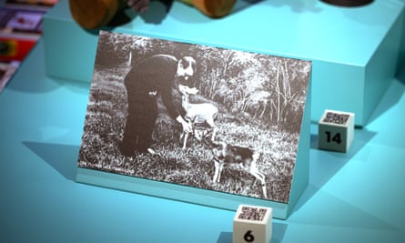 Der Fuehrer als Tierfreund (Führer, Friend of the Animals), reproduction of a 1934 propaganda photograph by Heinrich Hoffmann.