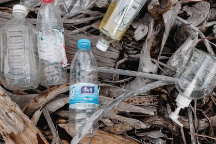 Plastic bottles lying on driftwood