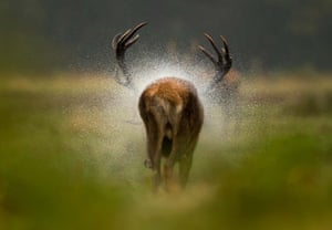 Danny Green (UK), After the rain