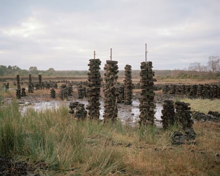 Cut turf, stacked in a field