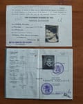 ‘I probably thought I was having a nice holiday’ … Renate Collins’ visa and passport, 1939.