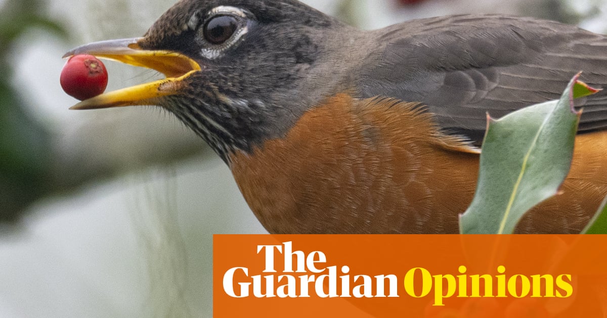 Birds are remarkable and beautiful animals – and they’re disappearing from our world