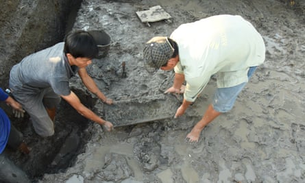 Năm 2018, một lớp phay chân đã được khai quật ở miền Nam Việt Nam.