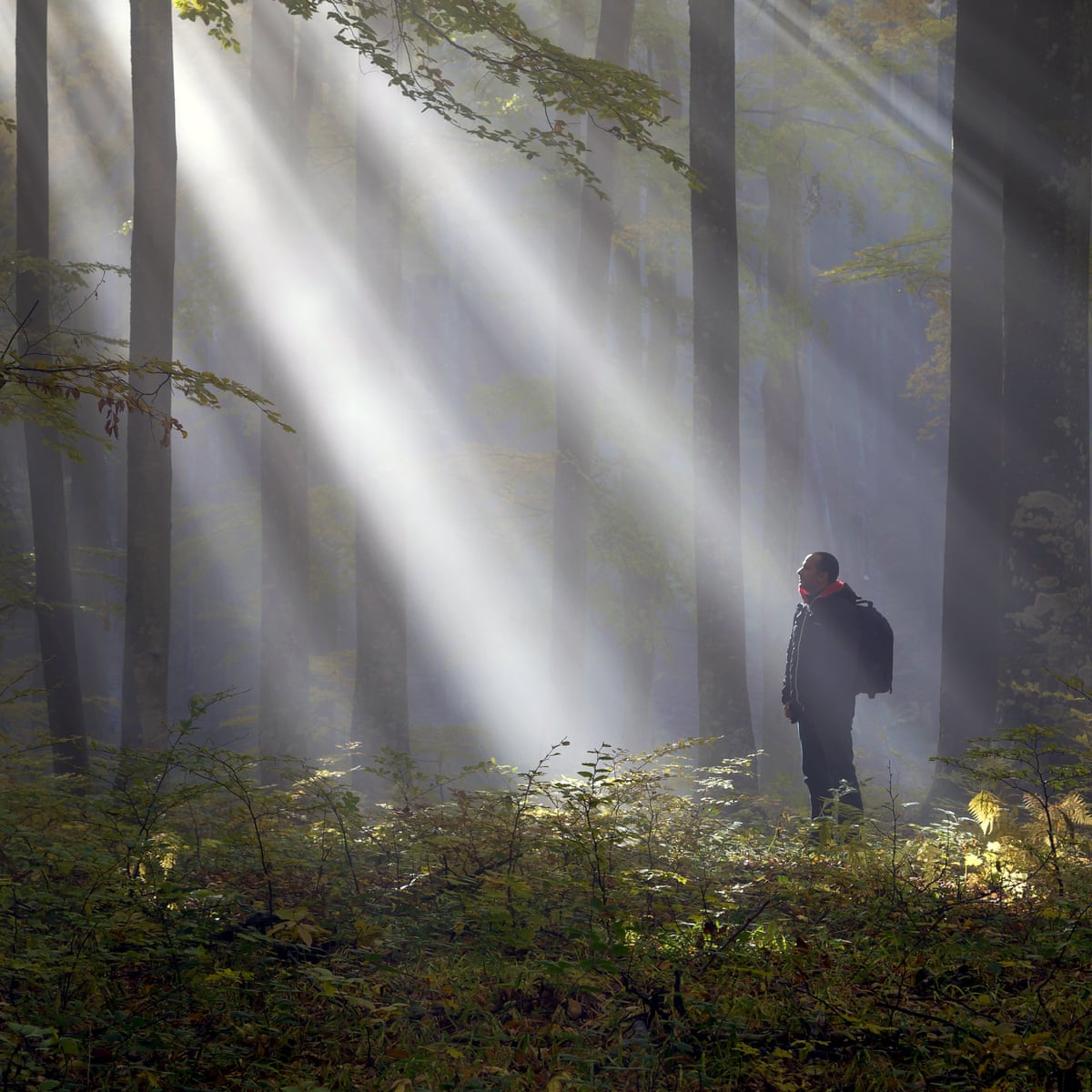 Get Lost Chance Would Be A Fine Thing Health Wellbeing The Guardian Get Lost Chance Would Be A Fine Thing Health Wellbeing The Guardian