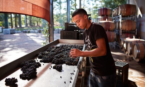 A sustainable winery at South Africa’s most famous wine-growing region, Stellenbosch.