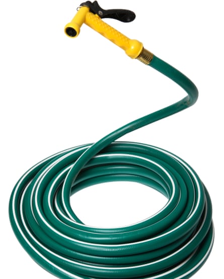Snake in the grass: the dreaded garden hose with spray nozzle.