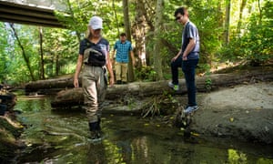 Researchers Jenifer McIntyre, from left, Edward Kolodziej and Zhenyu Tian investigate the salmon die-off at Longfellow Creek, an urban creek in the Seattle area.