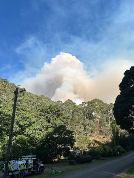 Australia news live: strong winds overturn boats in Hobart ahead of regatta; thousands of ‘life-threatening’ pharmaceutical poppies stolen from Victorian farm