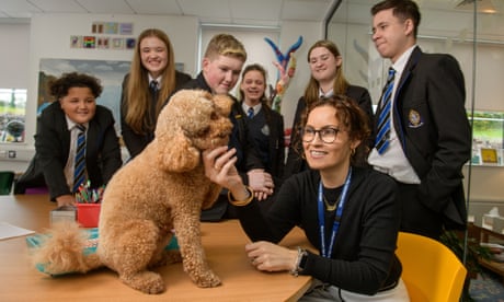 a labradoodle on a table surrounded by a woman and pupils in uniform