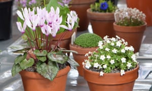 Dating sites for horticulture