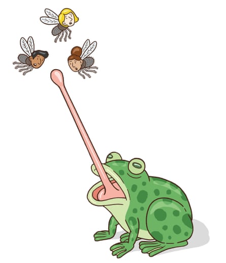 An illustration of a frog, it’s long tongue reaching up to catch insects.