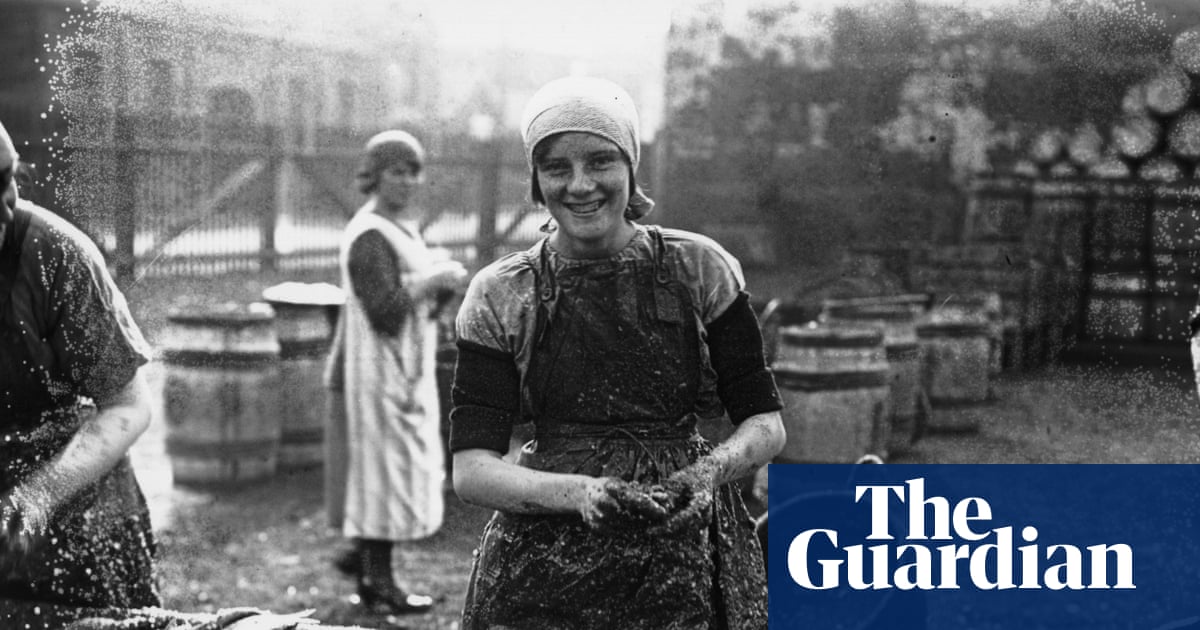 Whale meat curry for dinner? Study of bygone seafood recipes shows how UK tastes have narrowed