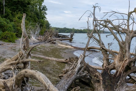 Pelee Island is a key migration stopover for more than 200 species of birds.