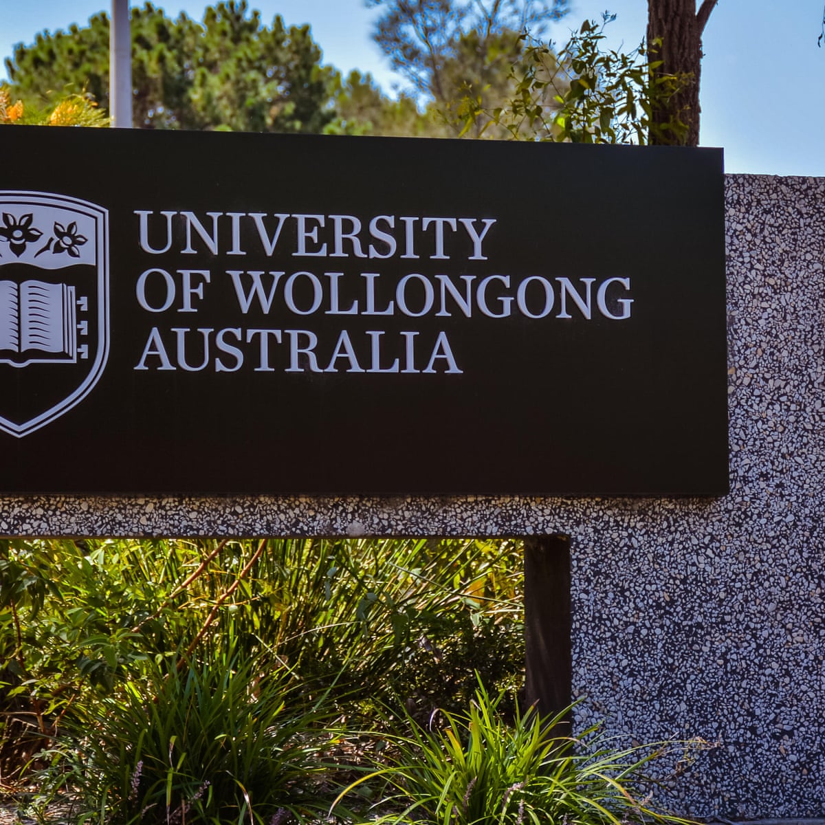 Wollongong University intervenes to approve Ramsay Centre western  civilisation degree | Australian universities | The Guardian