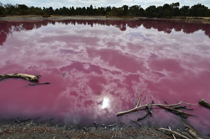 The Pink Lakes Of Australia In Pictures Environment The Guardian