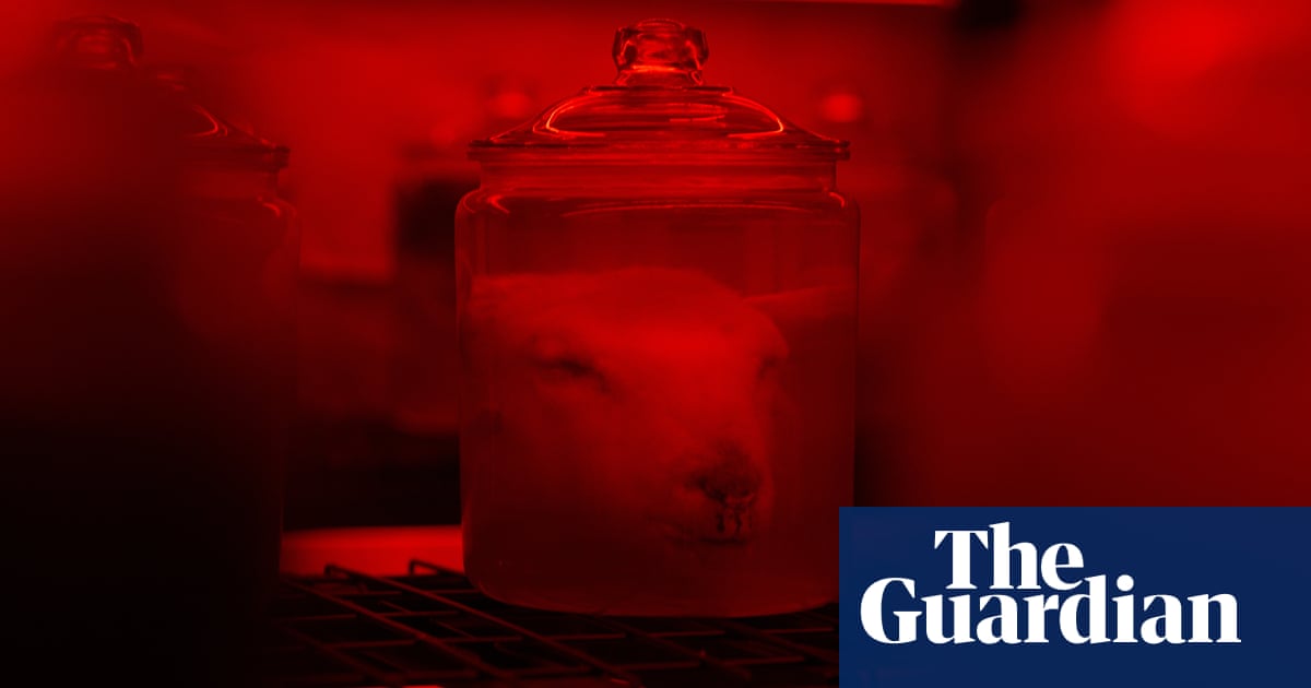 480 sheeps' heads in jars: Dark Mofo opens with another gory provocation