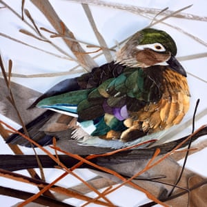 Wood Hen bird paper artwork by Sarah Suplina