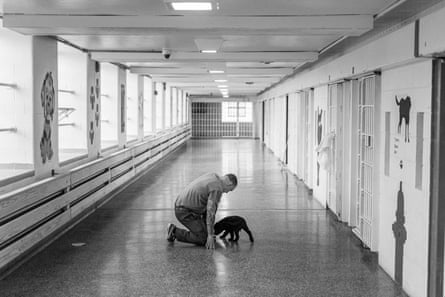 Ashley Gilbertson and Ava Pellor - Puppies Behind Bars
