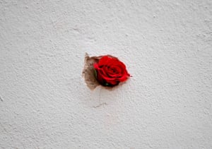 A red rose placed in a bullet hole in a restaurant wall at the site of the terrorist attack in Vienna, Austria.