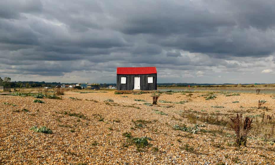 Rye Harbour nature reserve.