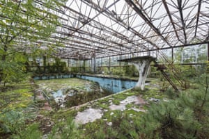 Swimming Pool, Italy by Jonk. While they serve as a mournful commentary on the 20th century – the era of the ‘great acceleration’ – there is also something hopeful in the vivid evidence of the patient and robust capacities of the non-human world to recover