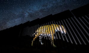 Wall Of The Wild Animals On The Us Mexico Border In Pictures Environment The Guardian