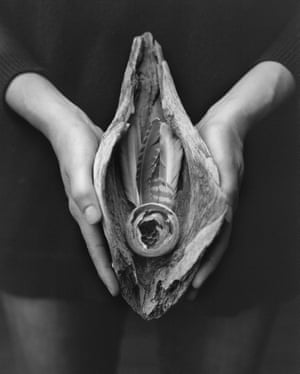 Black and white: two hands hold a shell-shaped piece of wood containing feathers and perhaps some honeycomb