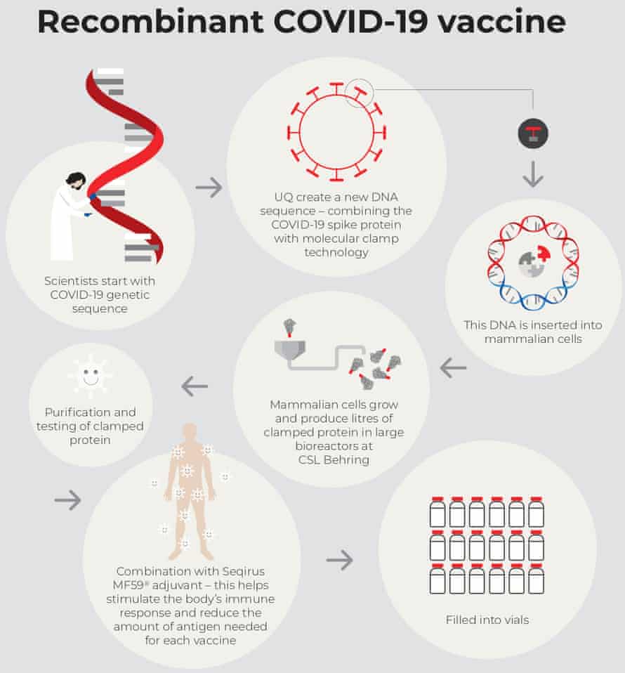 The race for a covid vaccine: inside the australian lab working round