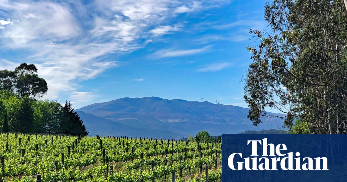 Aperitivo or dinner? Portuguese whites are always right