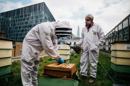Beekeepers Pavlin Ivanov and Dale Gibson at Bermondsey Street Bees inspects hives at a hotel in central London