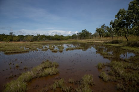 Swamplands on Middle Arm near Indigenous petroglyphs.