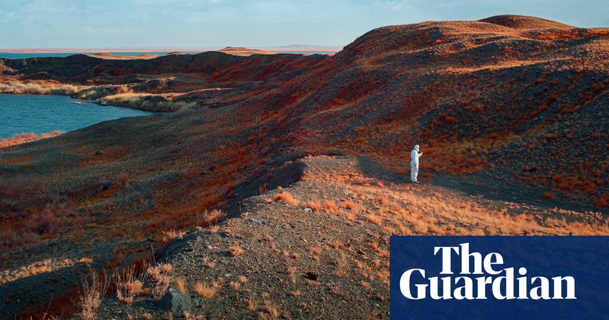 Nuclear fields and insect feasts: The Sony World Photography awards – in pictures