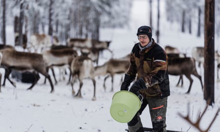 Jonas Vannar, a reindeer herder from Jokkmokk.