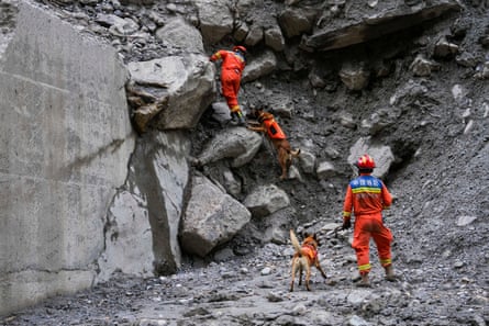 Rescuers use sniffer dogs to search for mudslide victims