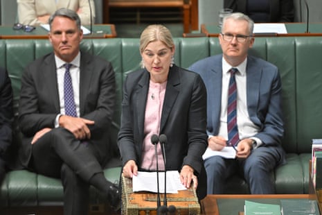 The minister for agriculture Julie Collins.