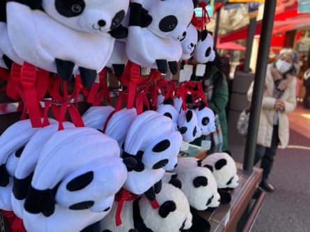 Panda Souvenirs at the Panda House