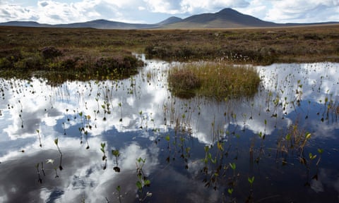 The wetlands and peat bogs of the Flow Country of Caithness and Sutherland, in Scotland.