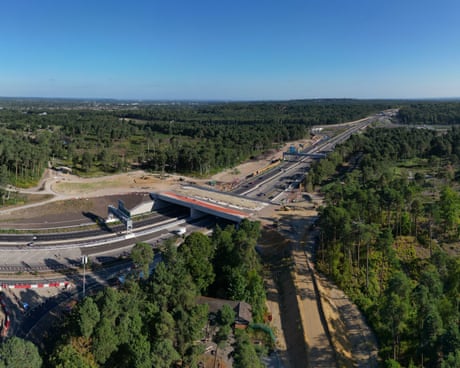 ‘Six lanes of tarmac and vehicles doing 70mph’: can ‘green bridges’ help animals cross the UK’s motorways in safety?