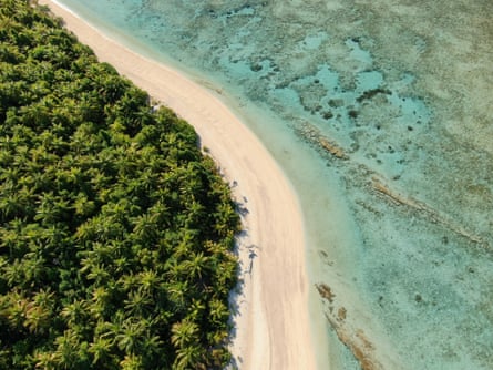 A palm-covered island beside a turquoise reef