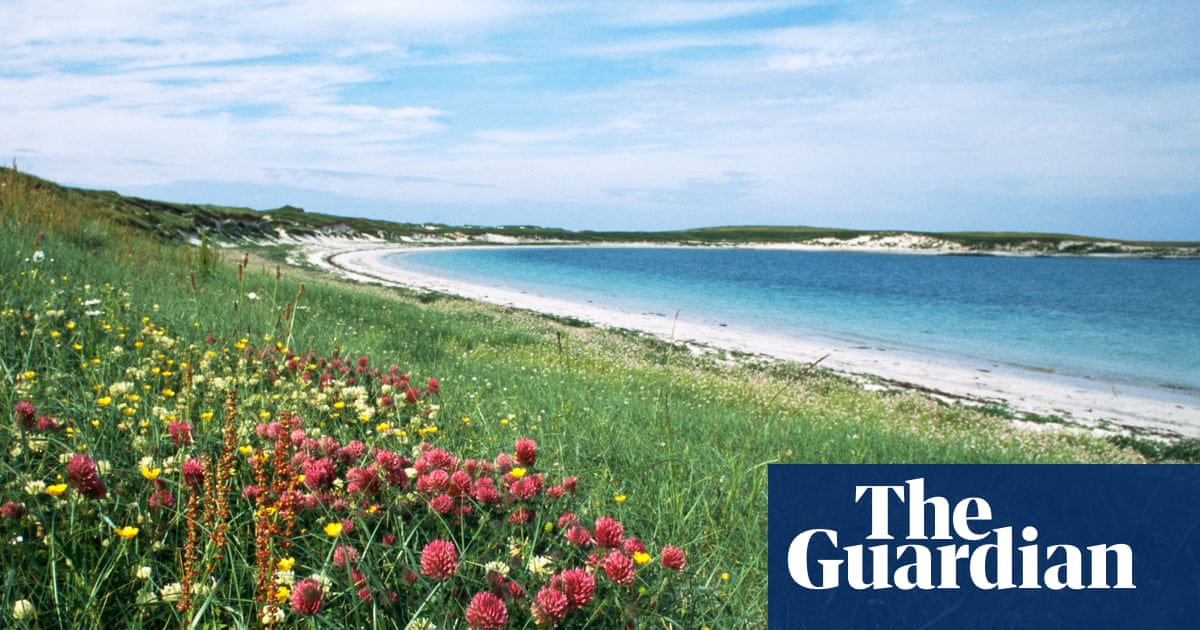 Scotland in bloom: wildflowers turn the Outer Hebrides into a Technicolor dream