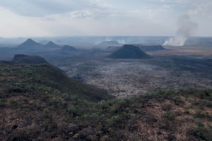 So far this year the Cerrado has seen more than 61,000 fire alerts, up from 39,000 in the whole of 2018.