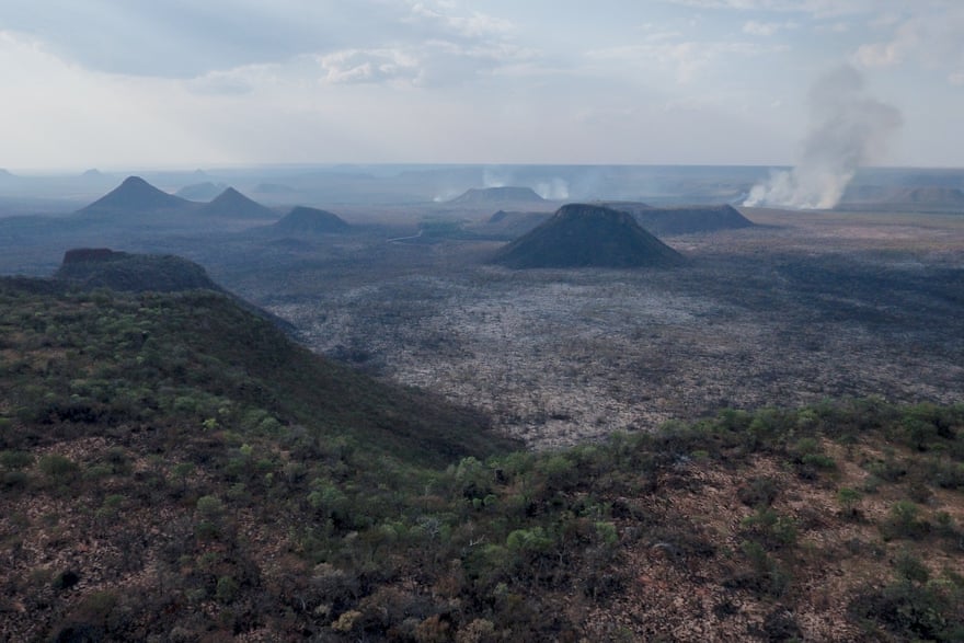 El Cerrado: como el vital "tanque de agua" de Brasil pasó del bosque a los campos de soja