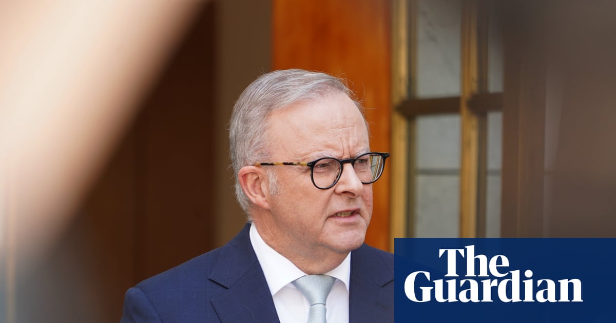 Peak Jewish body calls Labor’s plan to combat antisemitism an essential ‘first step’ but some warn it risks division