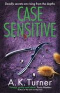 Case Sensitive by AK Turner