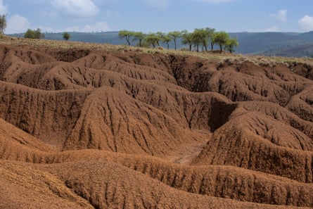 Soil erosion in Maasai heartlands in Tanzania.