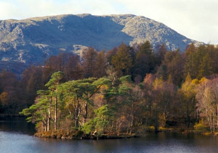 Trees full of autumn colour at Tarn Hows, with the bare slopes of Wetherlam in the background.