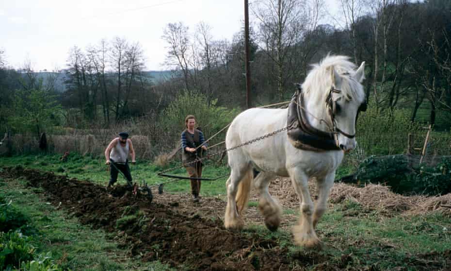 Field being ploughed with a horse